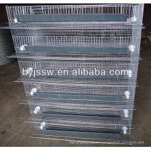 Automatic Quail Cages/ Feeding System/ Drinking System
